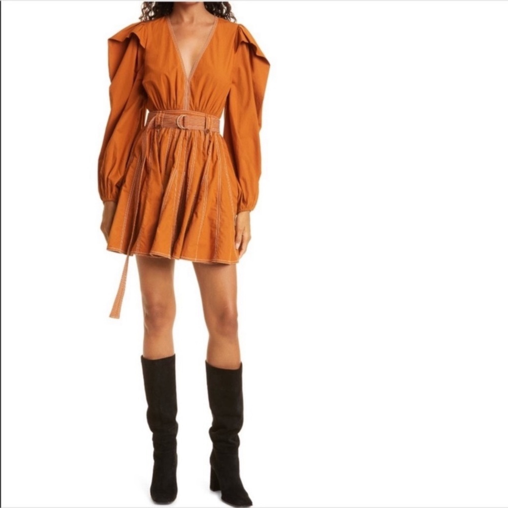 ULLA JOHNSON Corliss mini dress Sz 6 - Picture 8 of 8